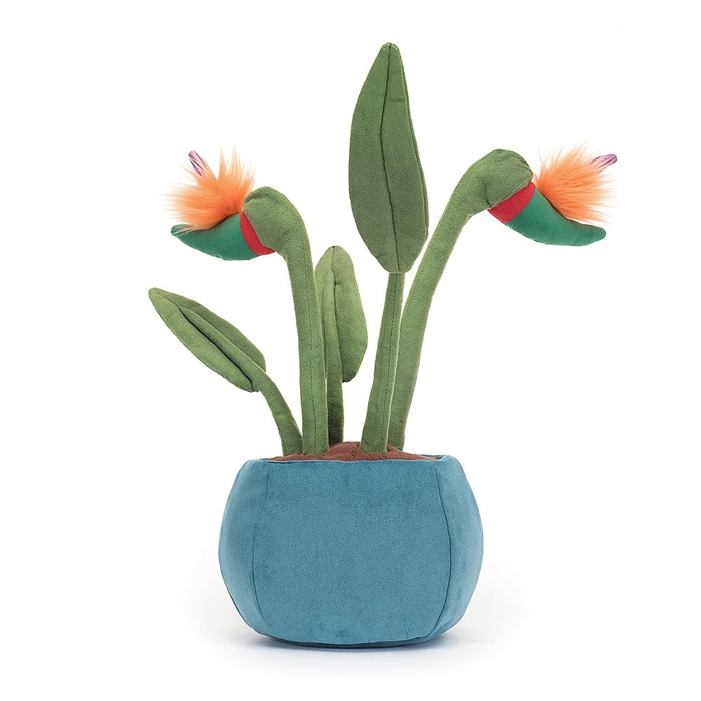 Amuseable Bird Of Paradise - Image 3