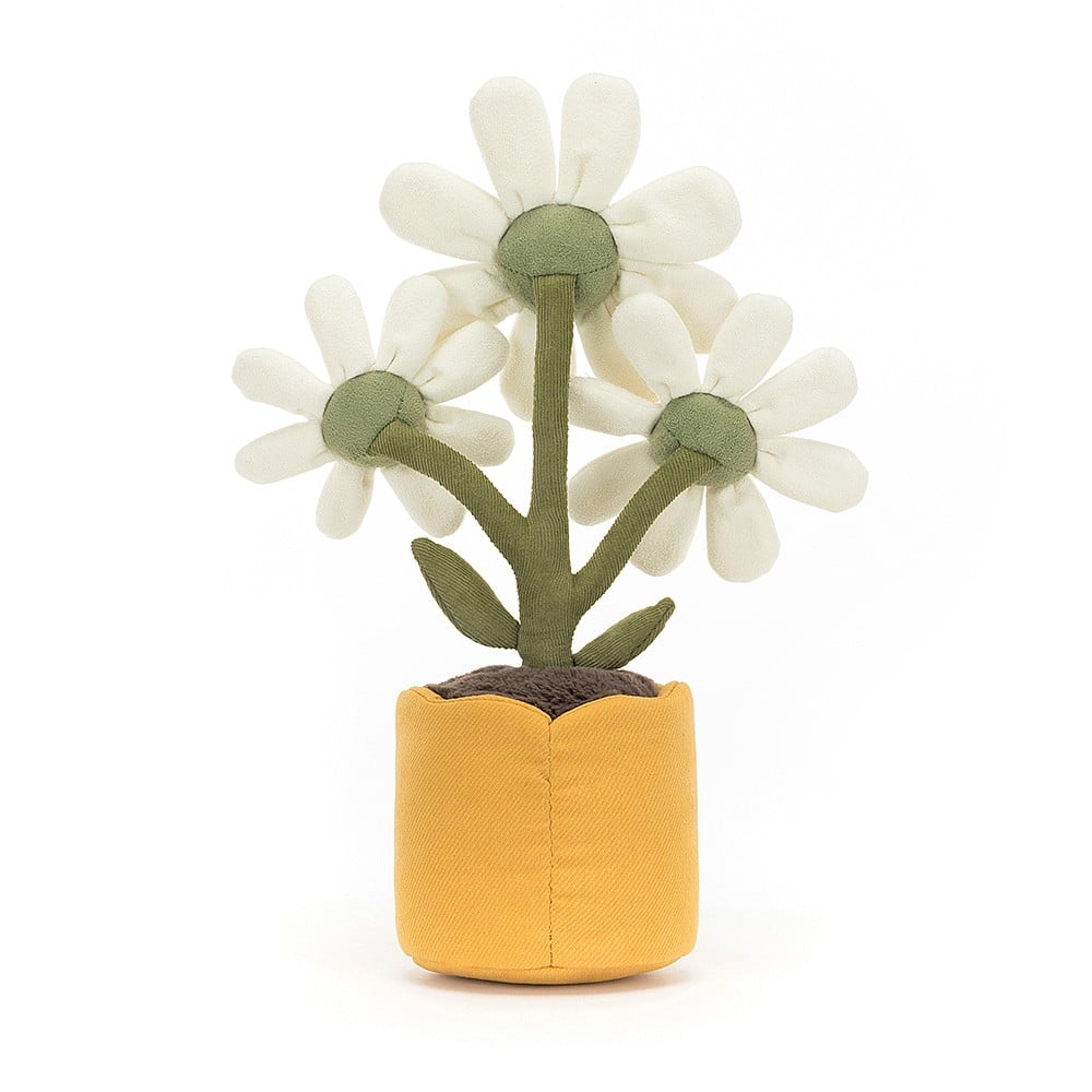 Amuseable Daisy - Image 3