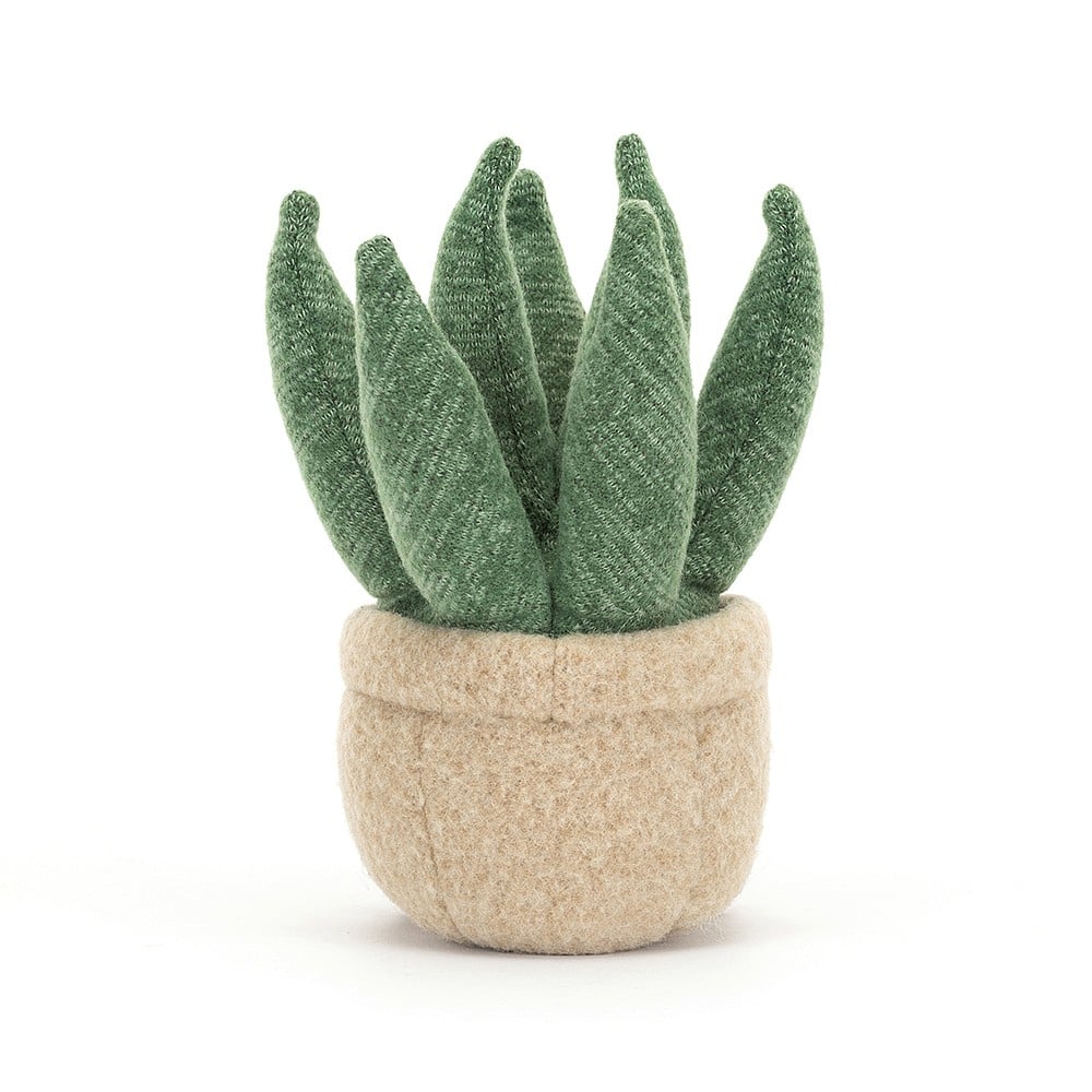 Amuseable Aloe Vera Small - Image 3