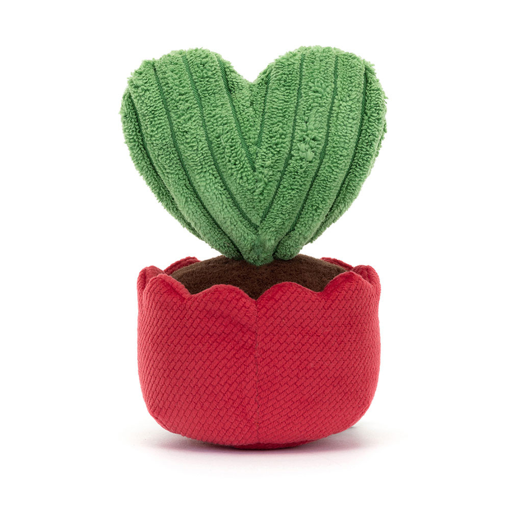 Amuseables Kerrii Cactus - Image 3