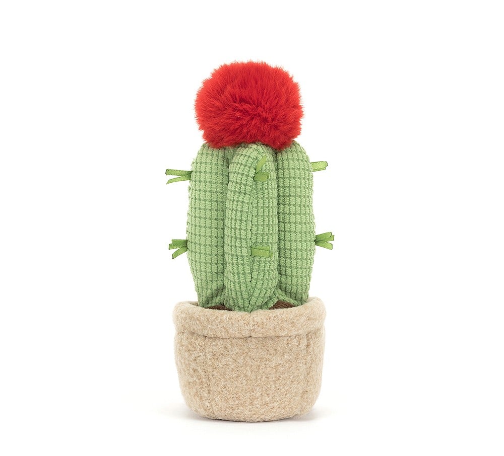 Amuseable Moon Cactus - Image 3