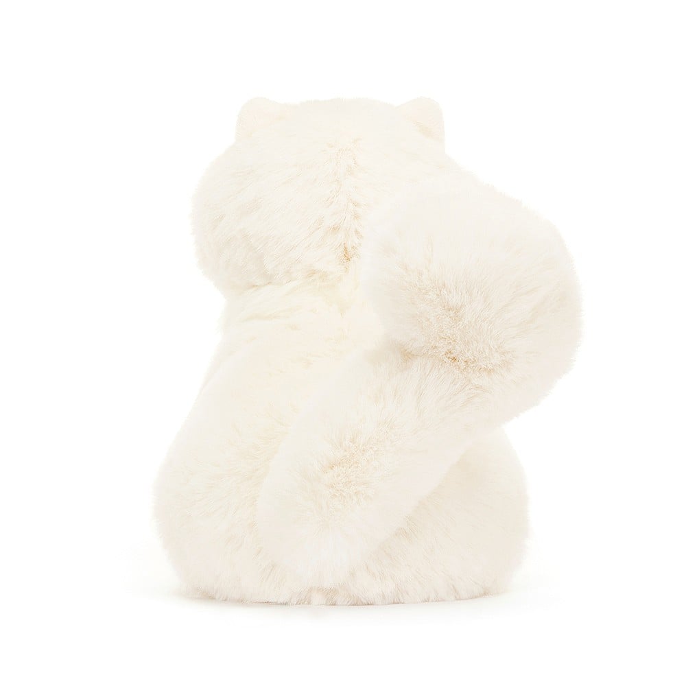 Carissa Persian Cat - Image 3