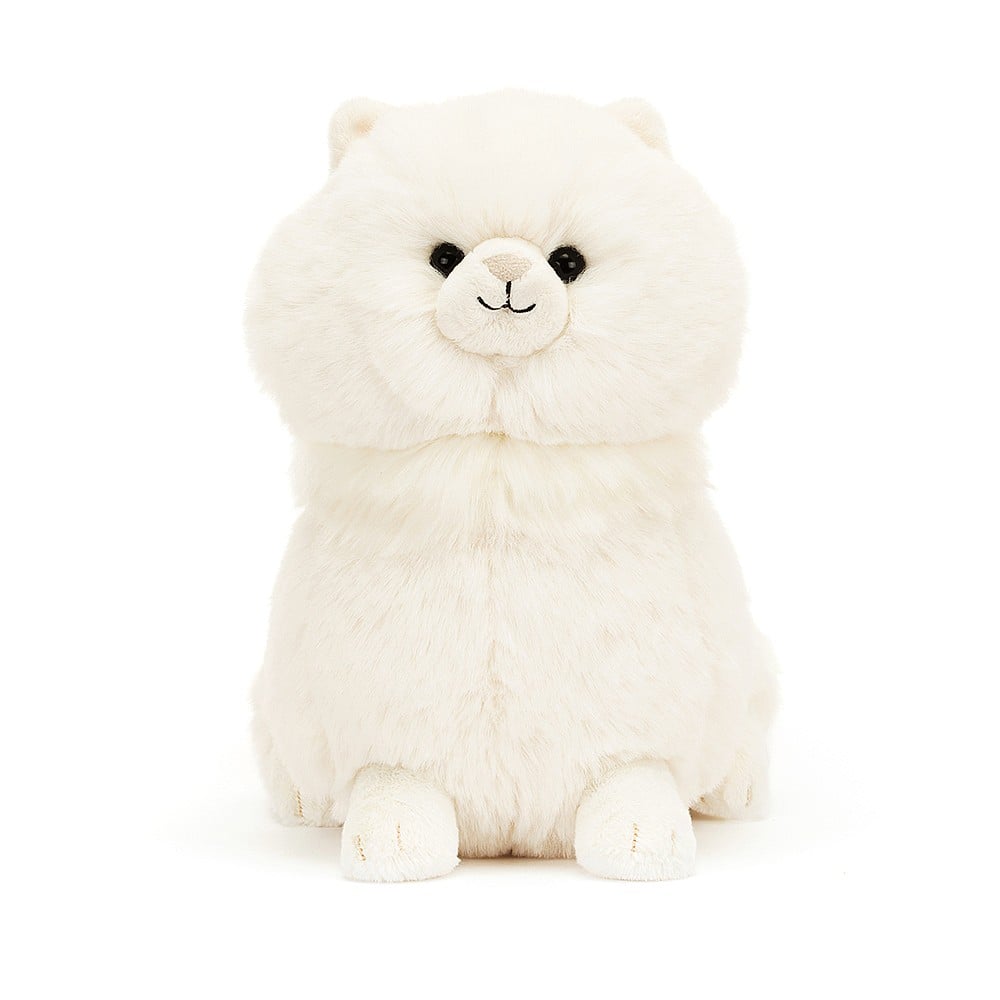 Carissa Persian Cat - Image 4