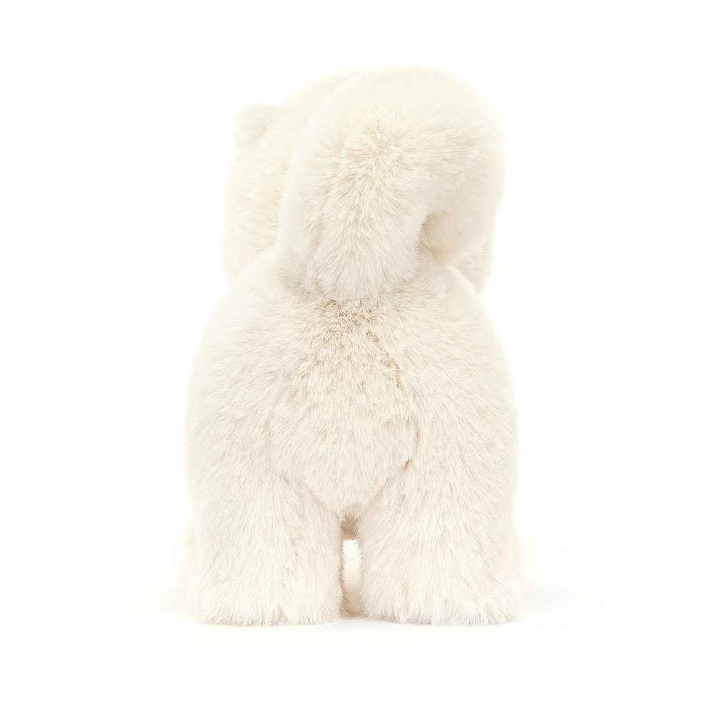 Daphne Pomeranian - Image 3