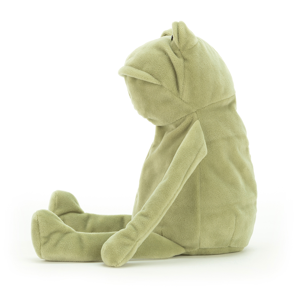 Fergus Frog - Image 3