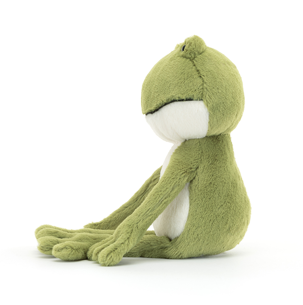 Finnegan Frog - Image 3