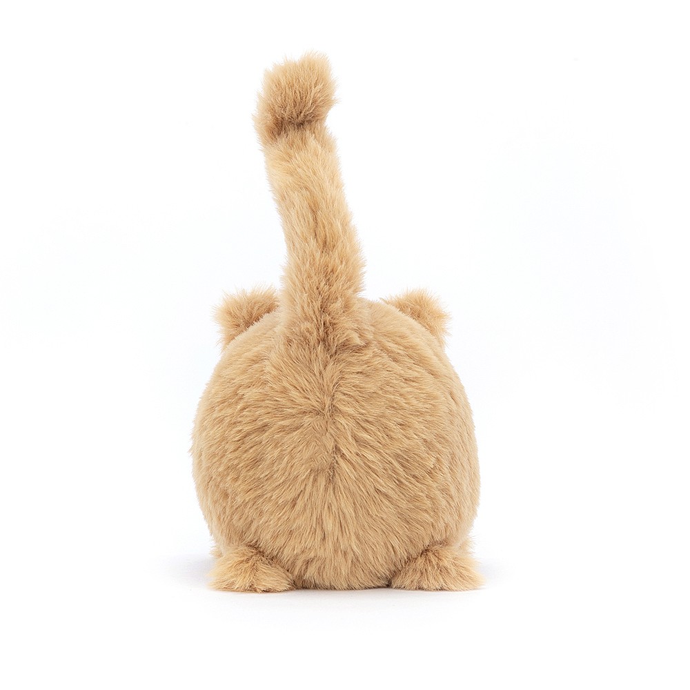 Kitten Caboodle Ginger - Image 3