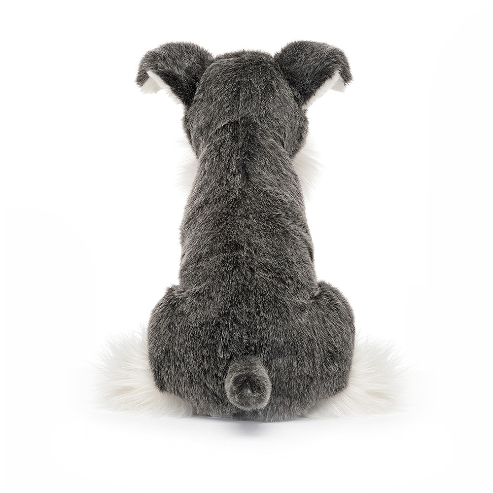 Lawrence Schnauzer - Image 3