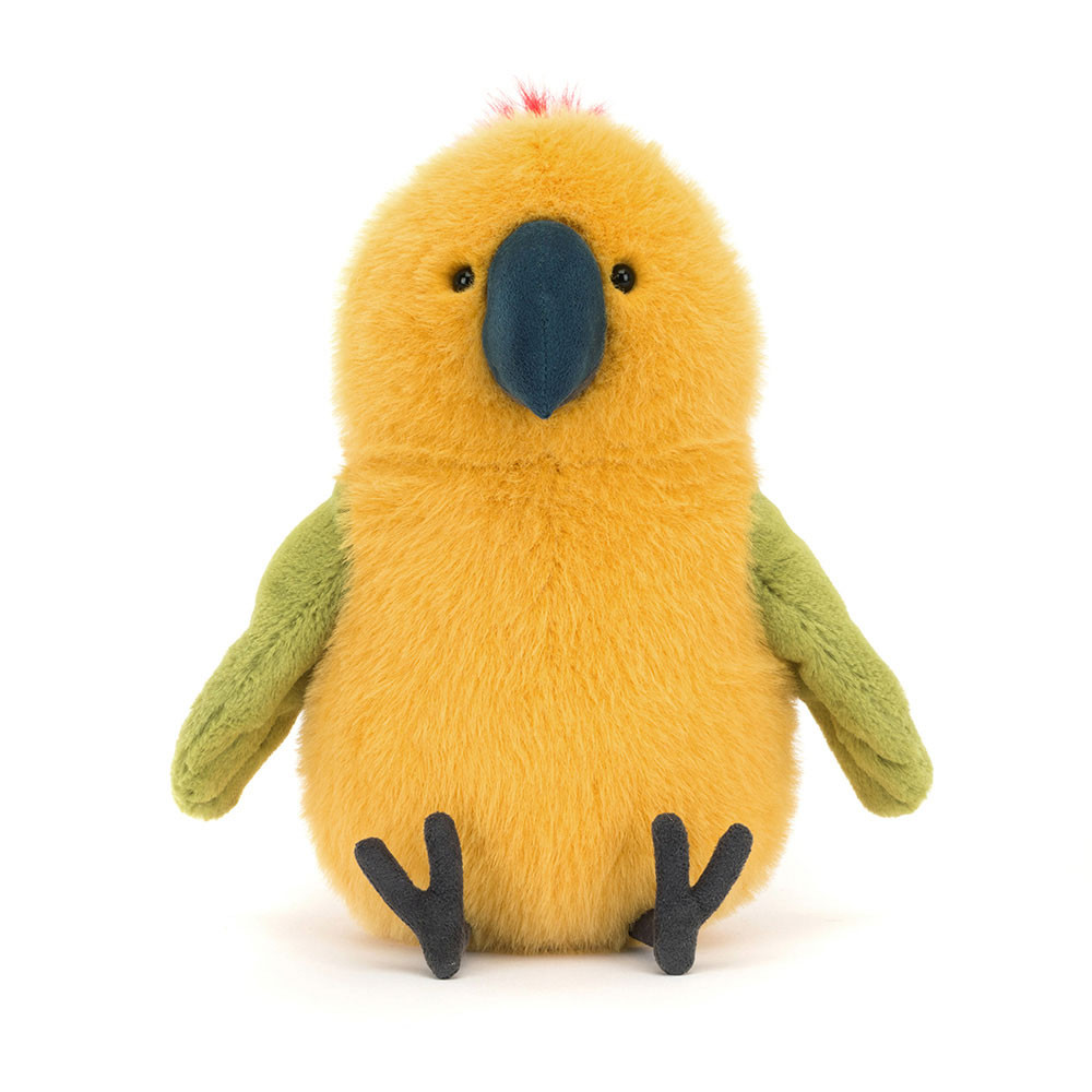 Budgeby Parrot - Image 4