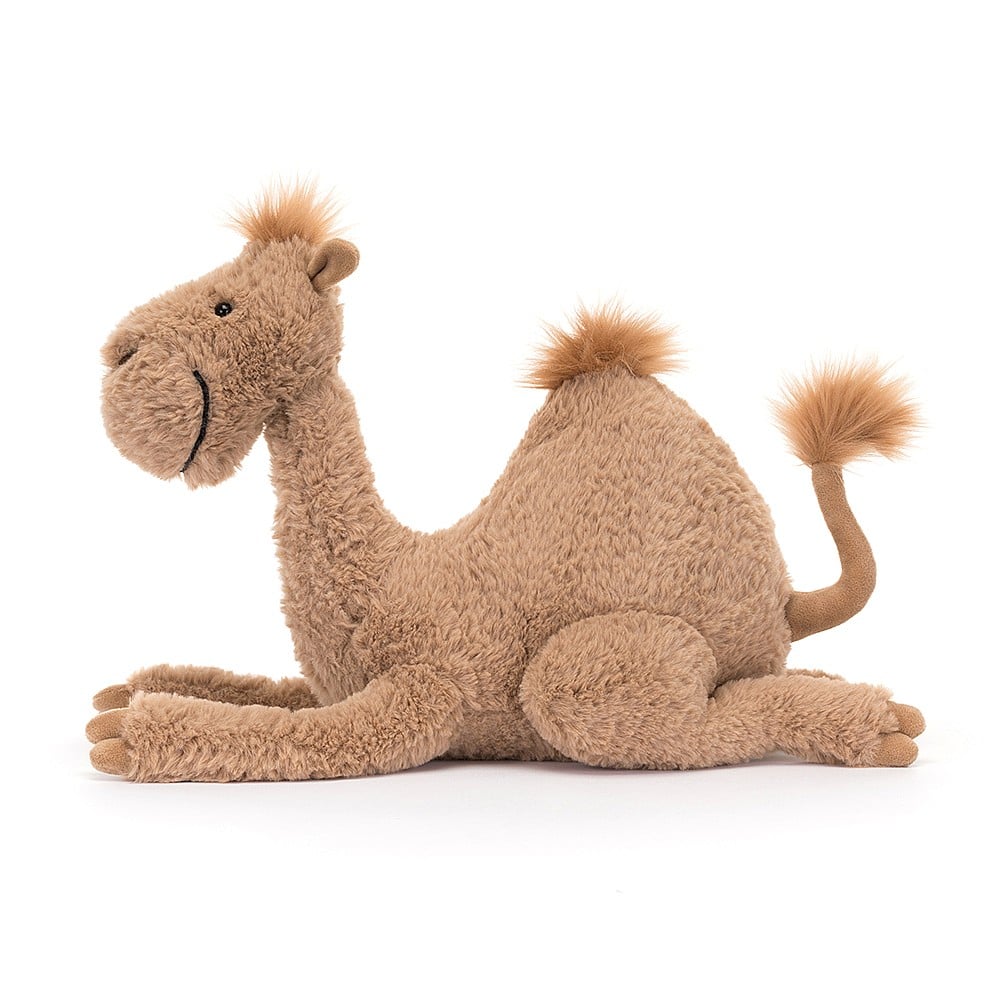 Richie Dromedary - Image 4