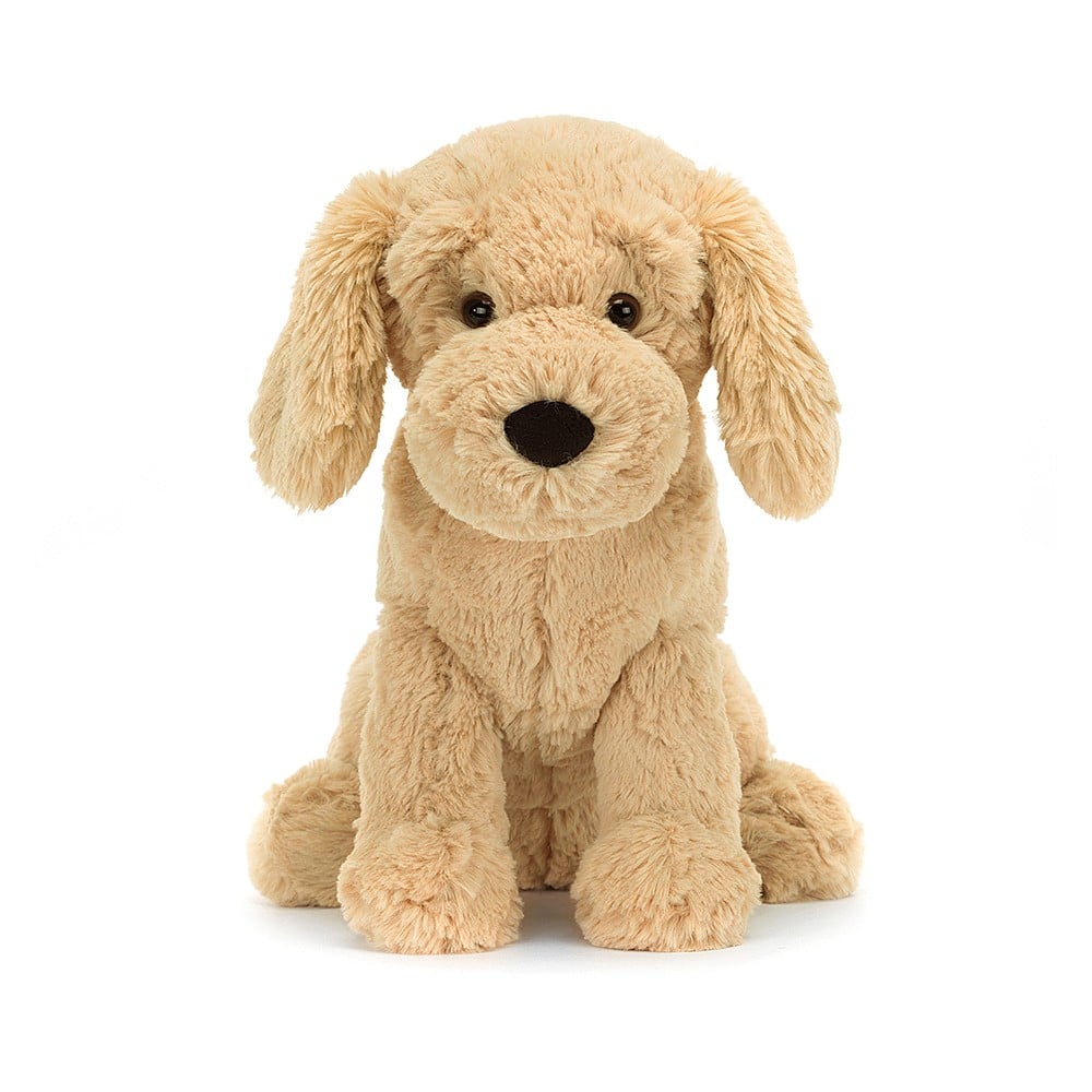 Tilly Golden Retriever - Image 4