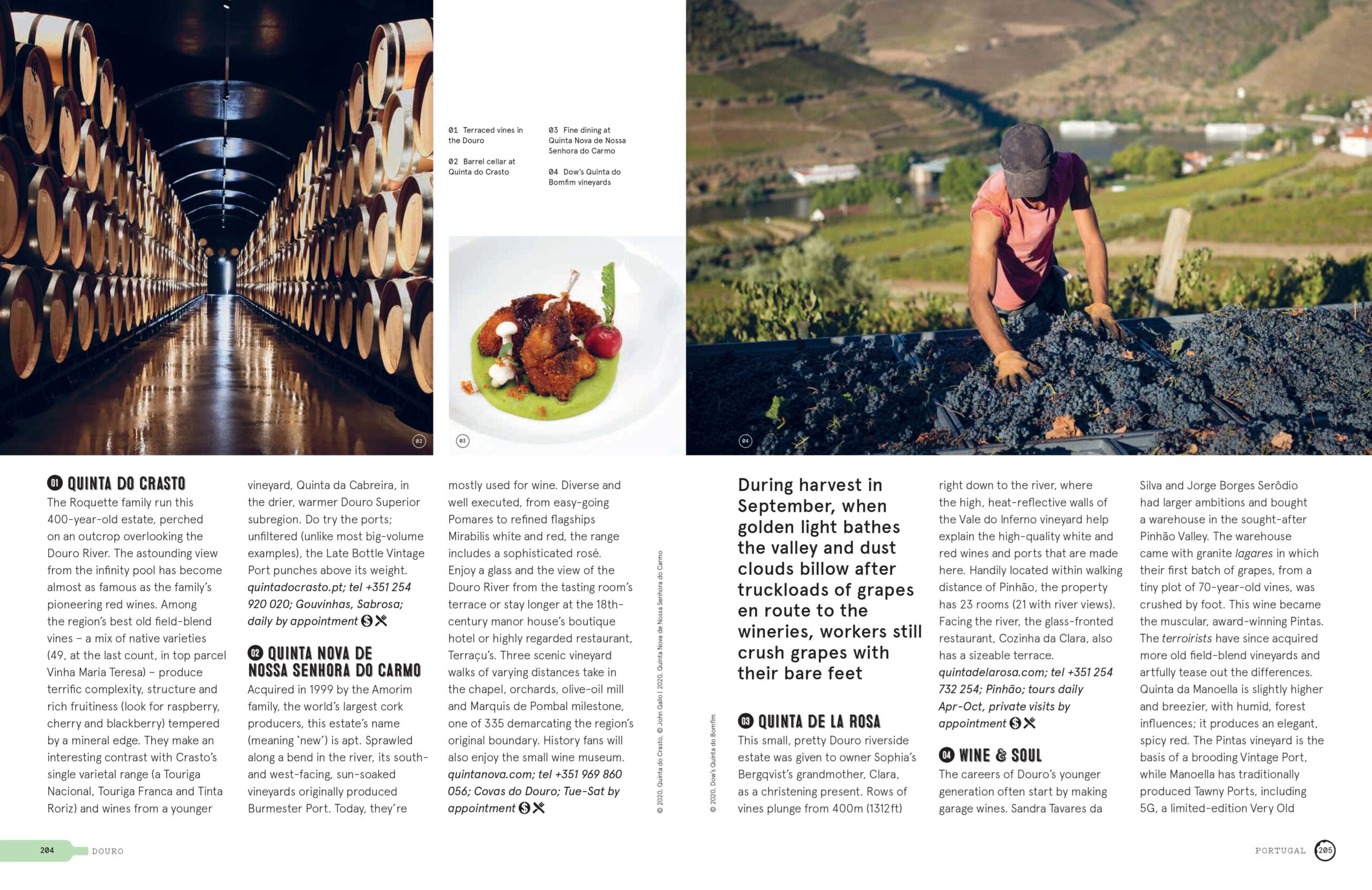 Lonely Planet Wine Trails - Image 3