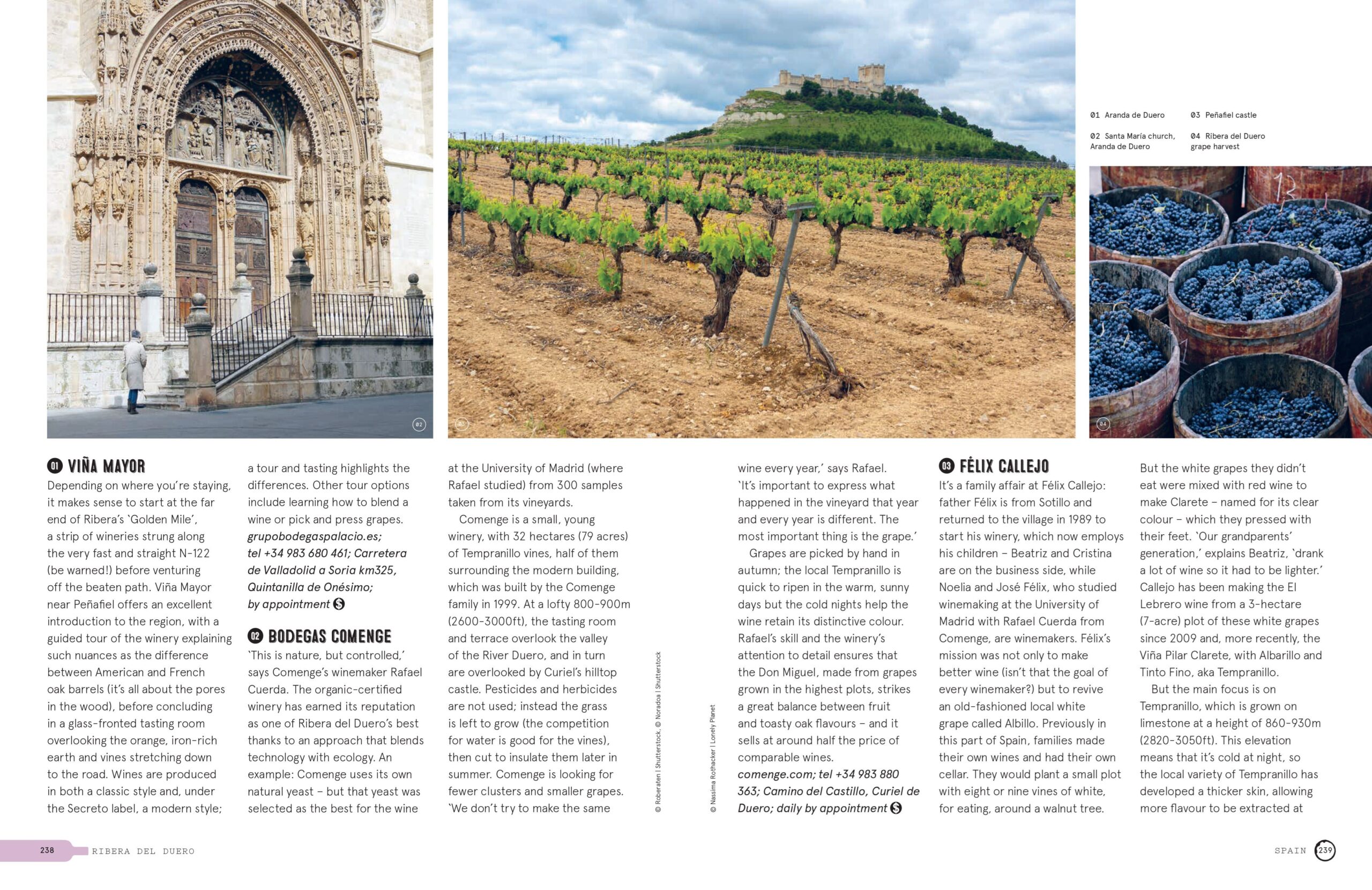 Lonely Planet Wine Trails - Image 5