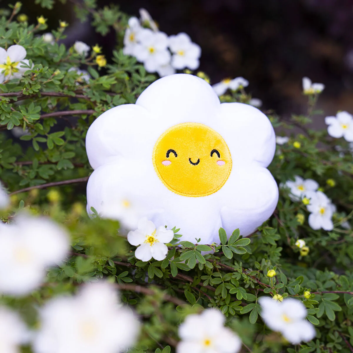 Mini Plush - Daisy - Image 5