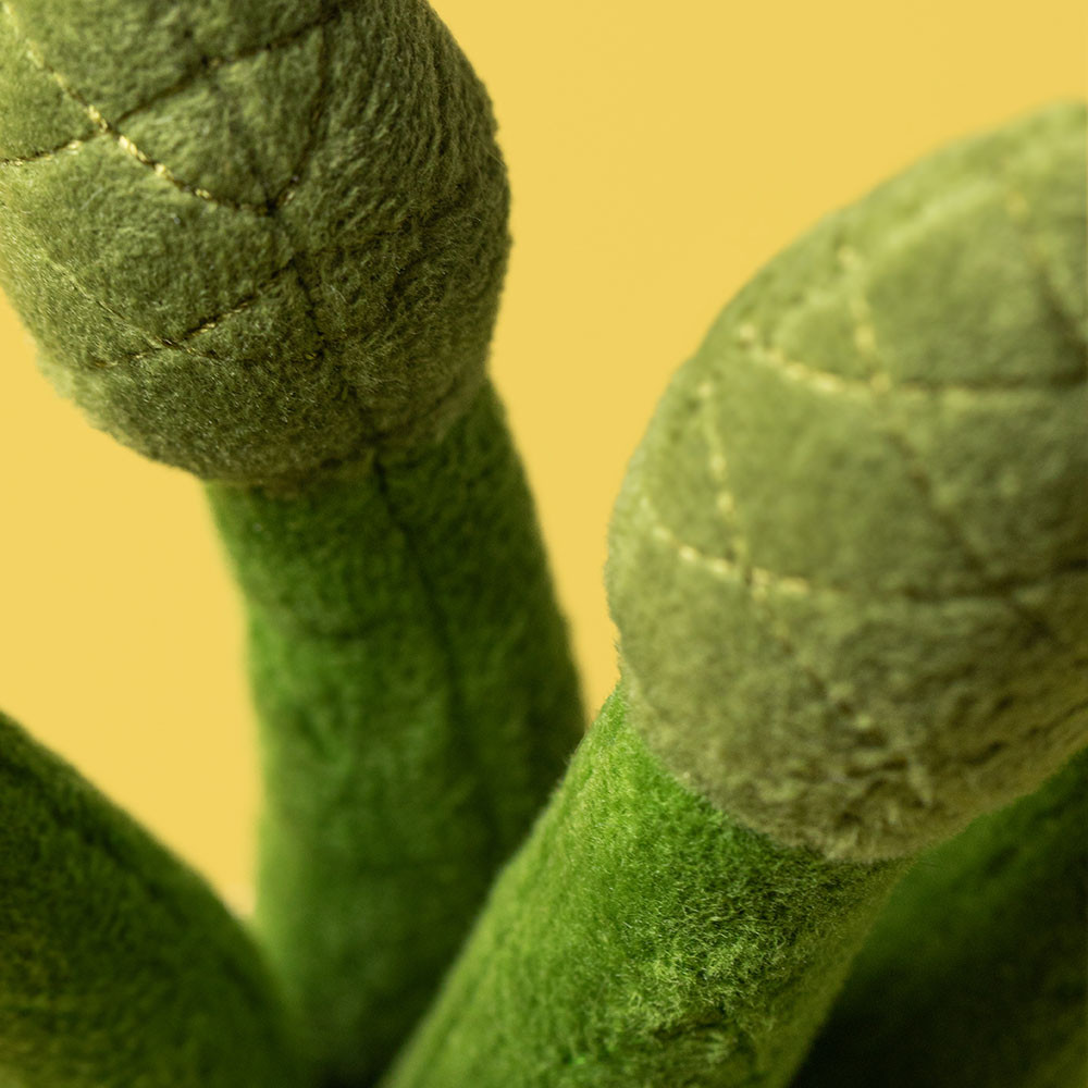 Amuseables Asparagus - Image 2