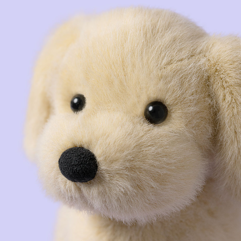 Golden Puppy - Image 2
