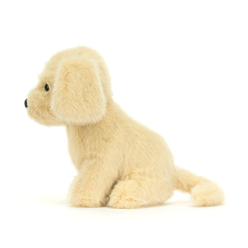 Golden Puppy - Image 3