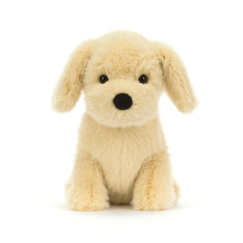 Golden Puppy - Image 5