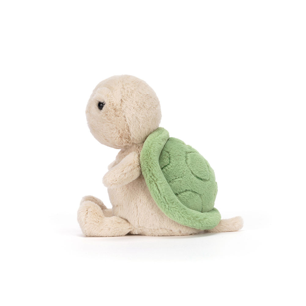 Thimble Turtle - Image 3