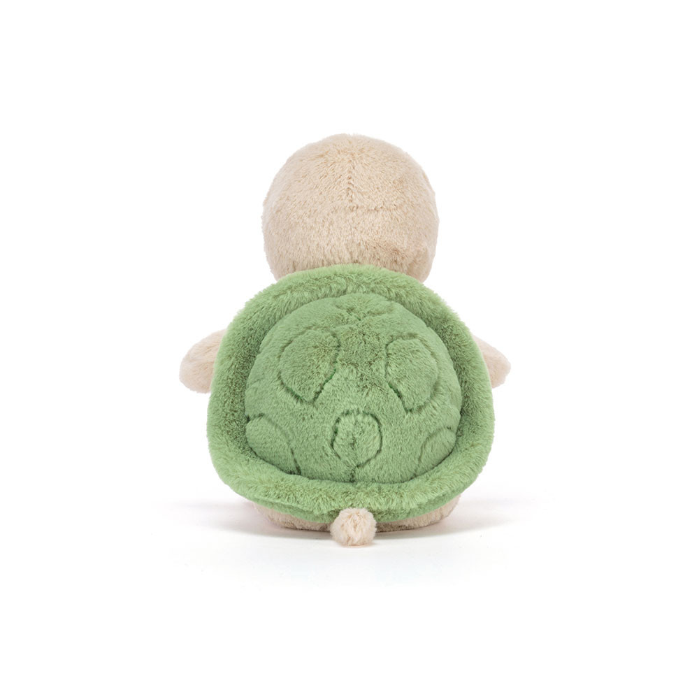 Thimble Turtle - Image 4