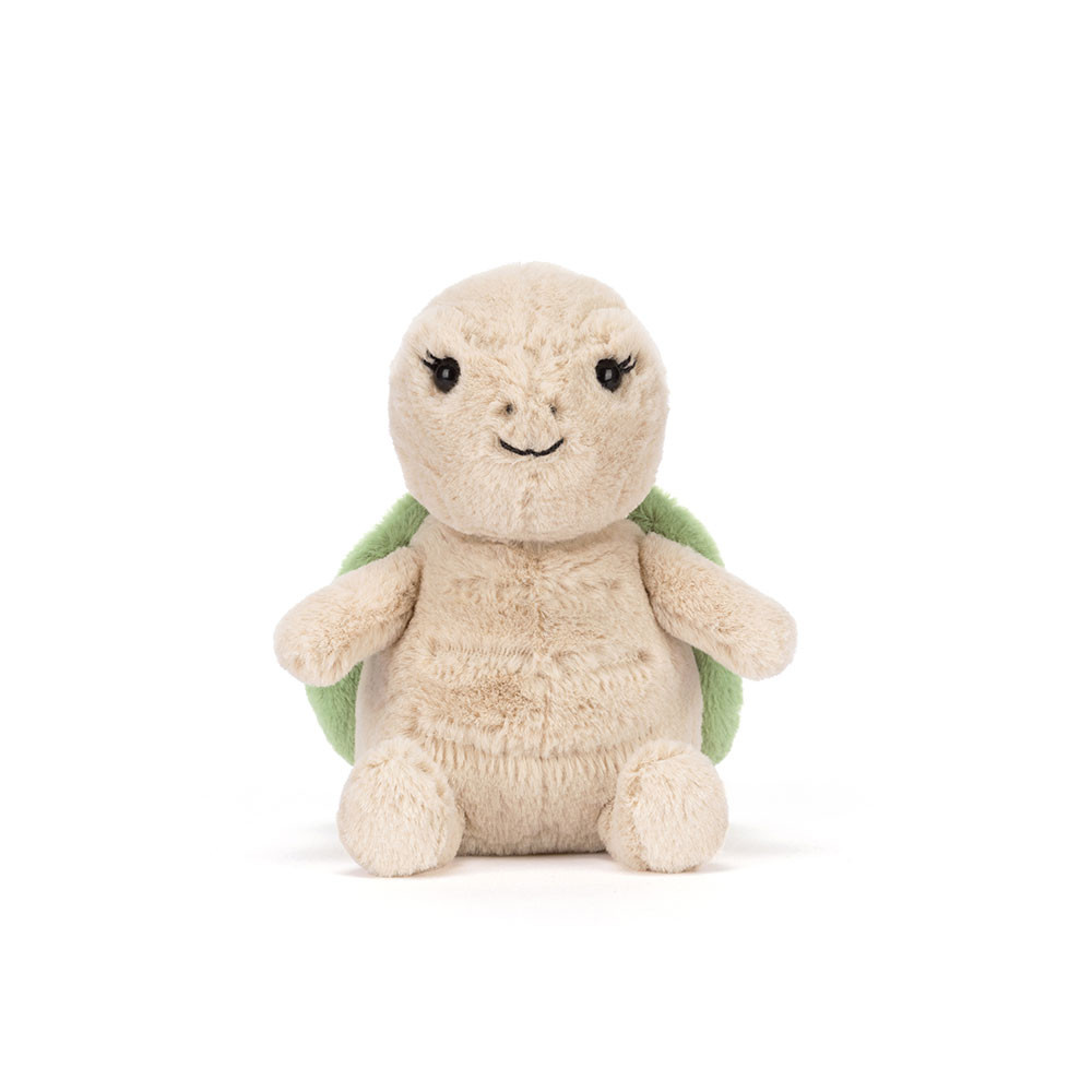 Thimble Turtle - Image 5