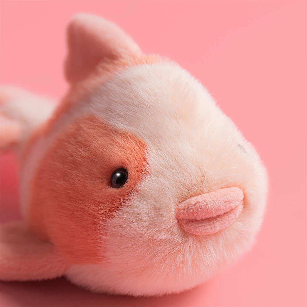 Fancy Carp - Image 2